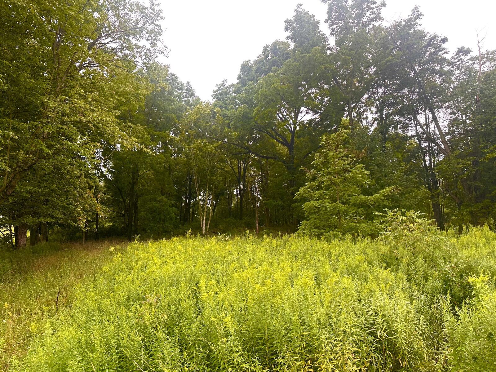 Property Photo: 5621 Crane Road PA 16412
