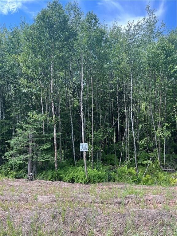 Property Photo:  Lot Cedarwood Drive  NB E5N 7K6 
