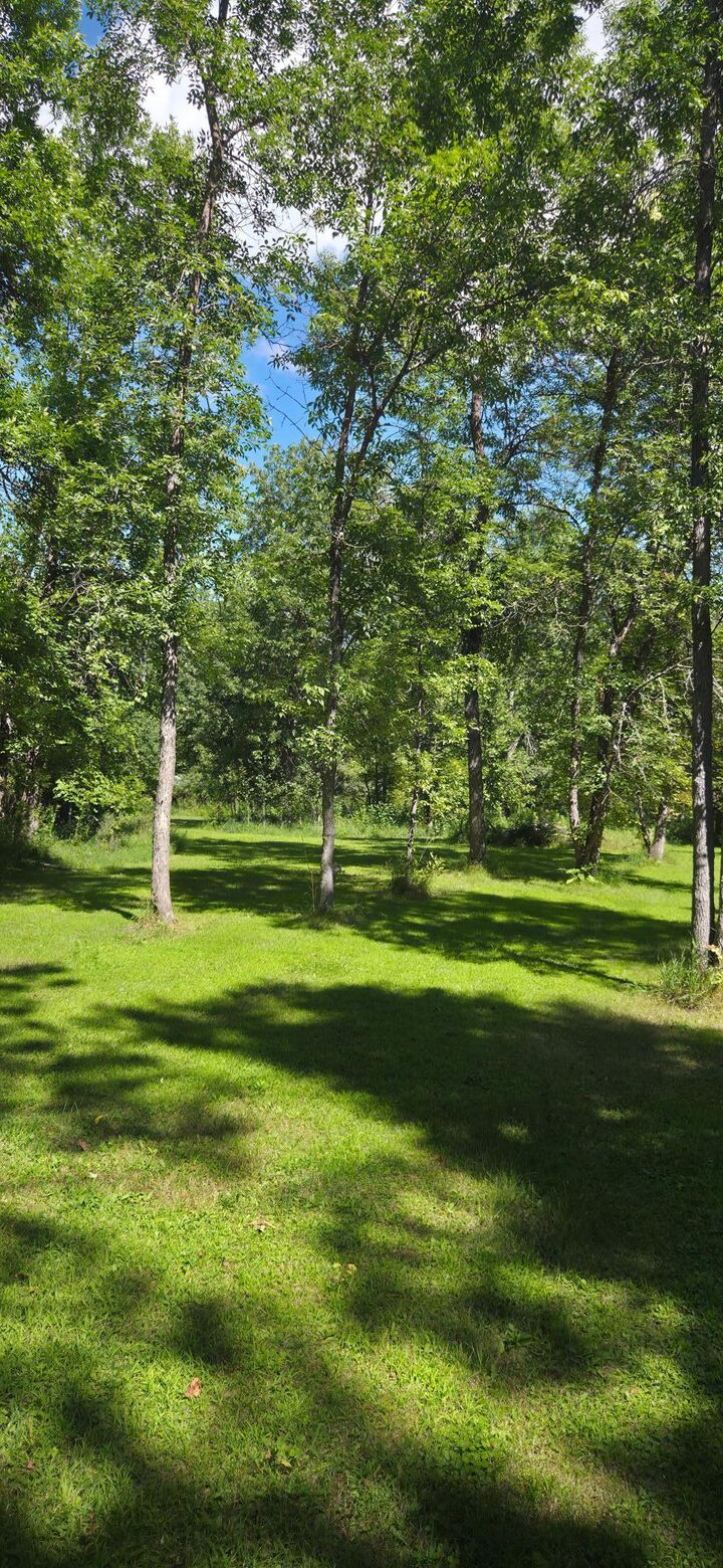 Property Photo:  305 5th Avenue W  MN 56641 