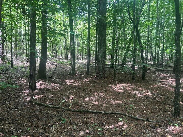 Property Photo:  111 Riversong (Tract 26)  GA 30117 