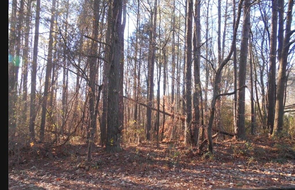 Property Photo: 0 Bartlett Circle GA 30108