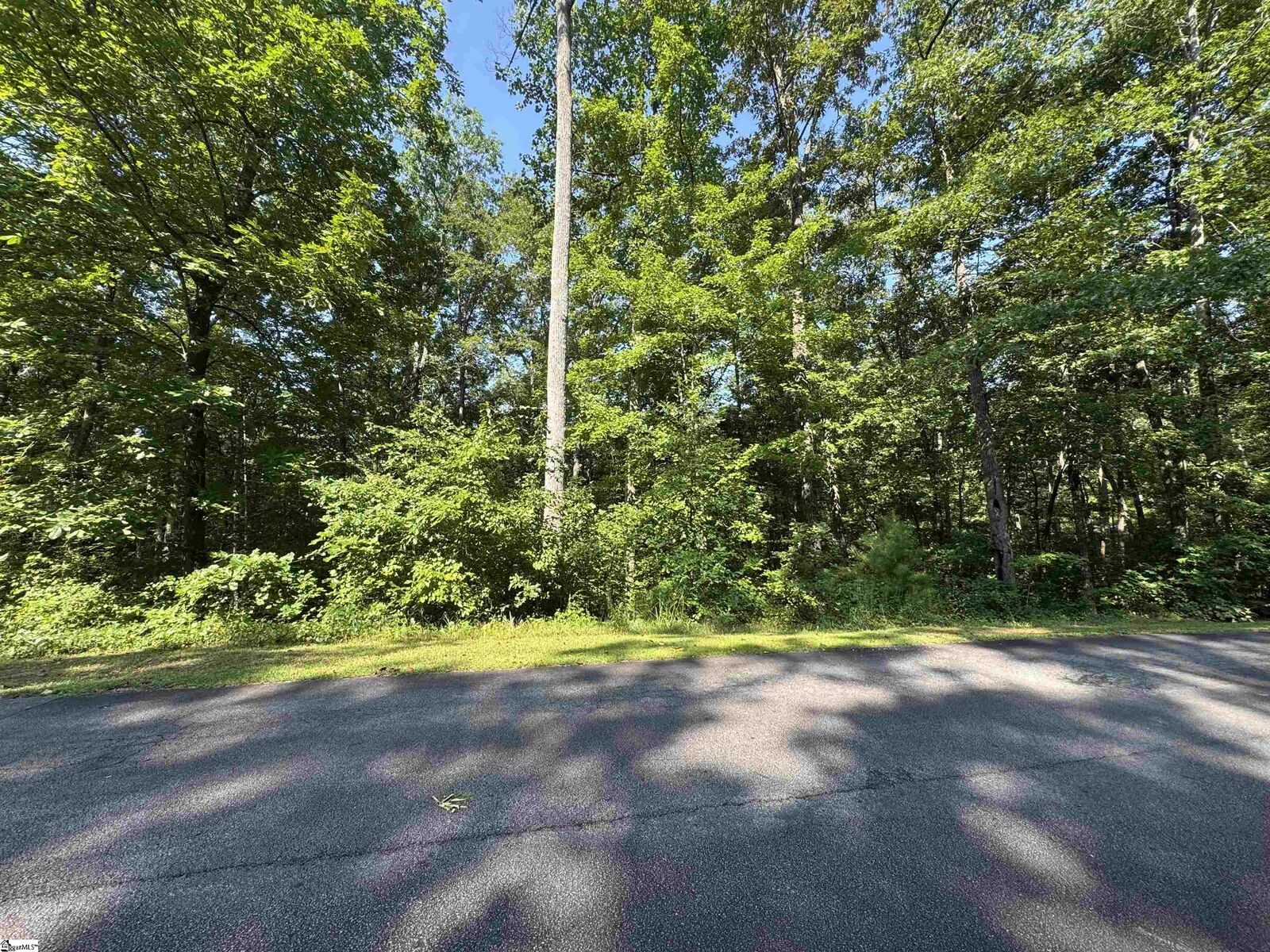 Property Photo: 712 Scharlin Drive SC 29671