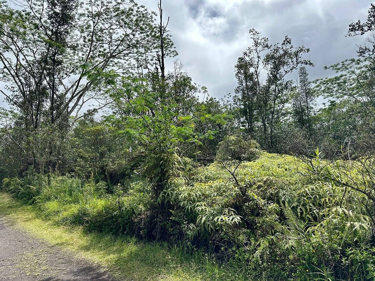 Property Photo:  16-2185 Road 4 (Io Kea)  HI 96771 