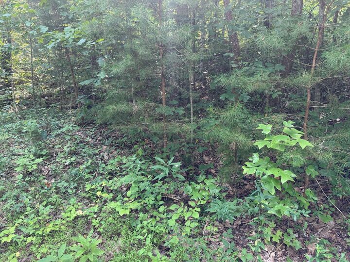 Property Photo: 9 Tucker Hollow Road KY 42633