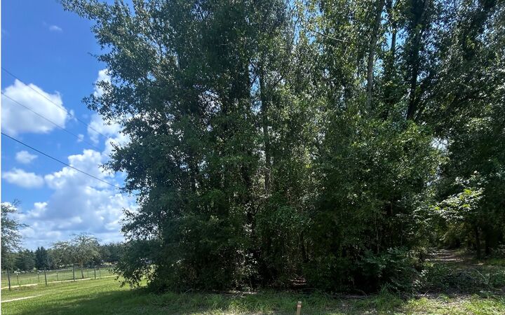 Property Photo:  