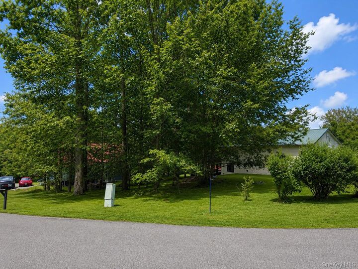 Property Photo:  0 Timber Hill Lane  NY 12779 