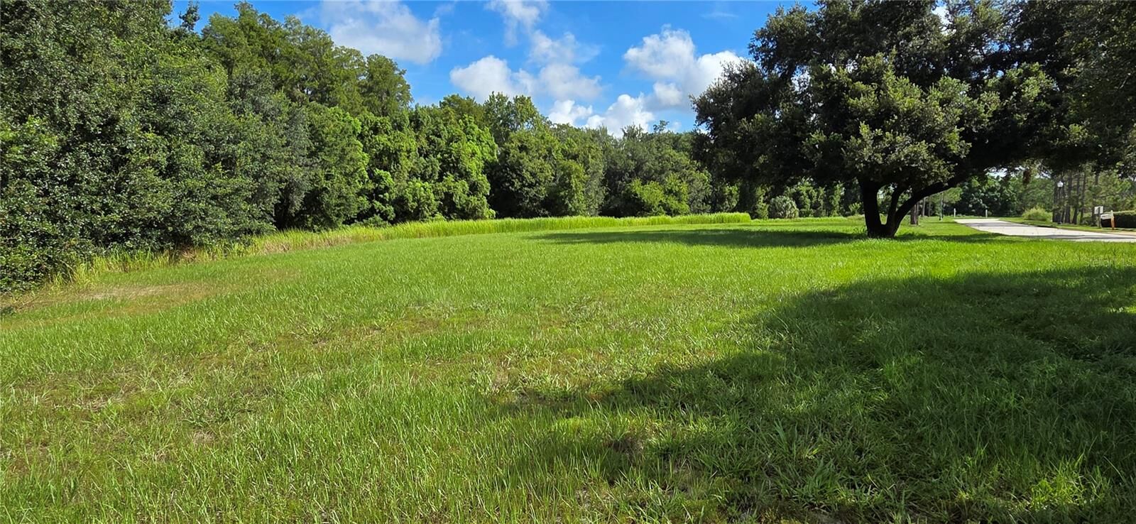 Property Photo:  Bellerive Drive  FL 34711 