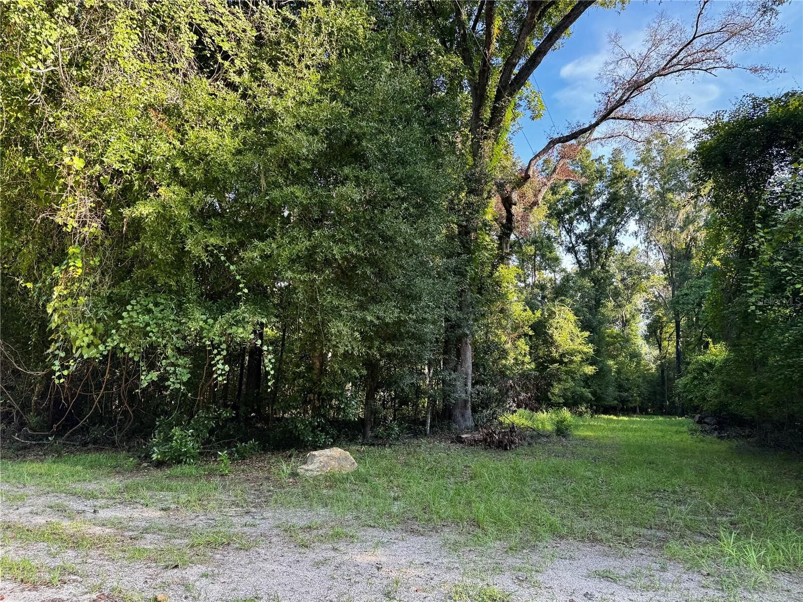 Property Photo: SW Fox Place Lots 38 &Amp 39 FL 32038