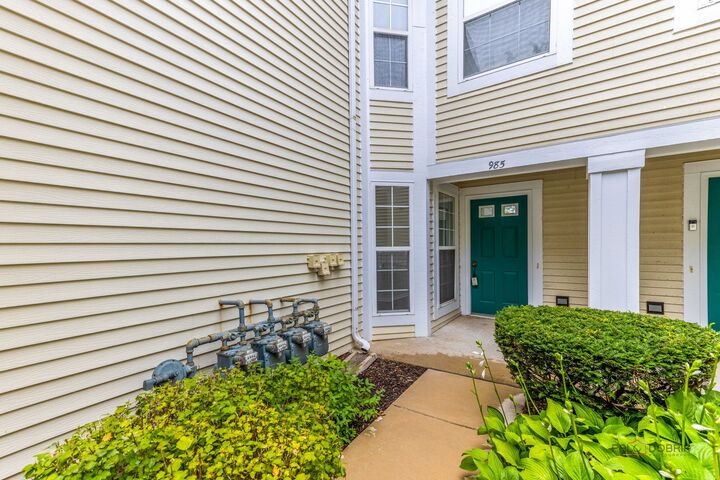 Property Photo: 985 Huntington Drive 985 IL 60007