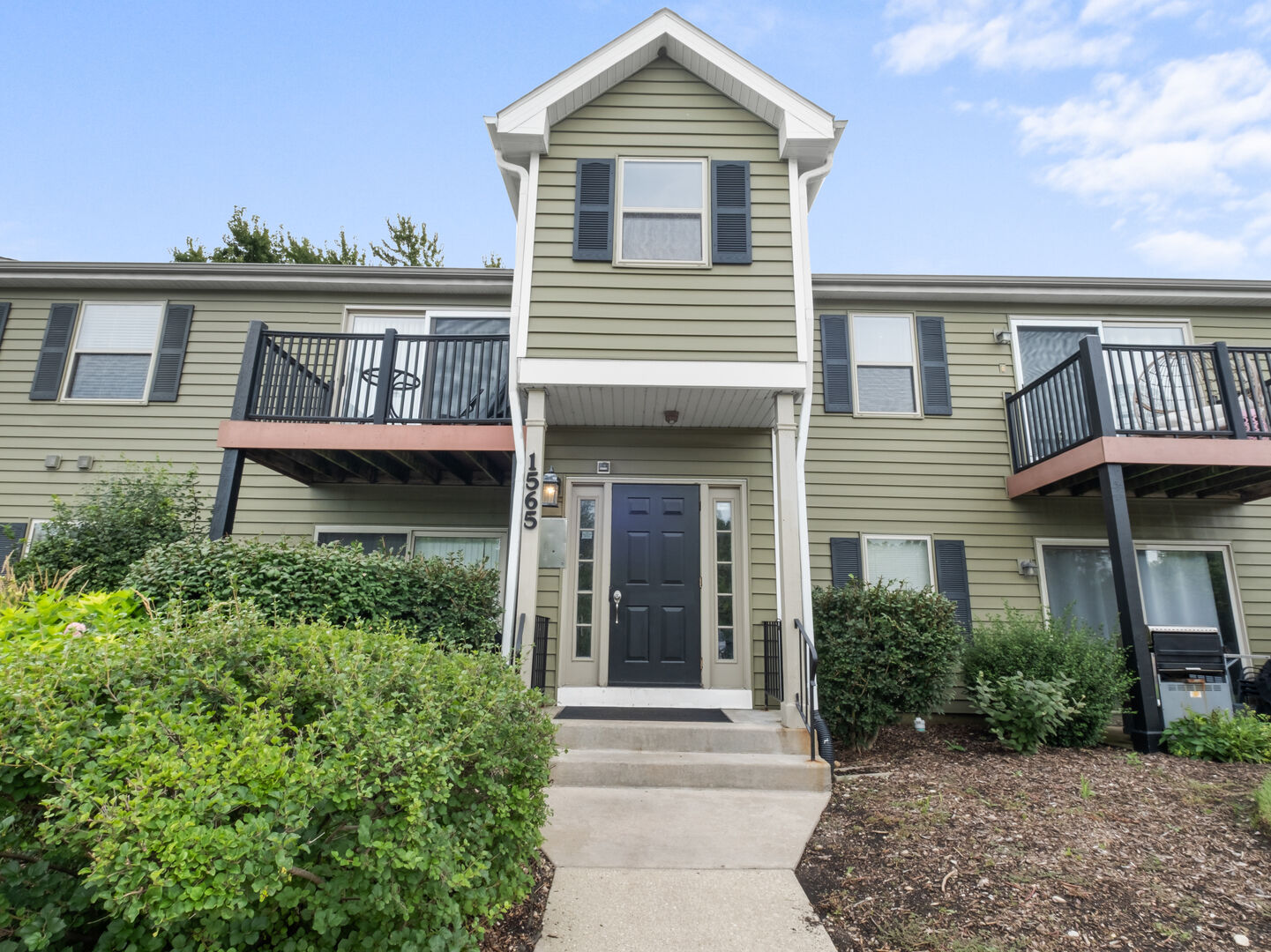 Property Photo: 1565 Raymond Drive 203 IL 60563