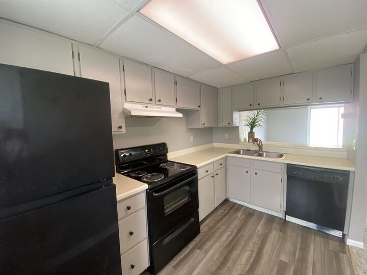 Property Photo:  612 E Campus Drive B12  IL 62901 