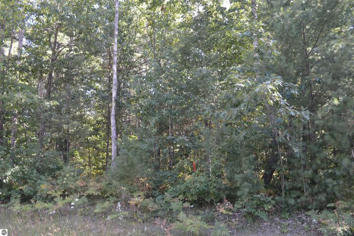 Property Photo:  2040 Driftwood Lane  MI 49646 
