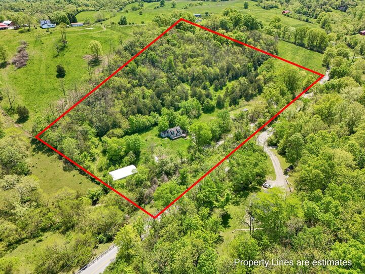 Property Photo:  10061 Persimmon Grove Pike  KY 41001 