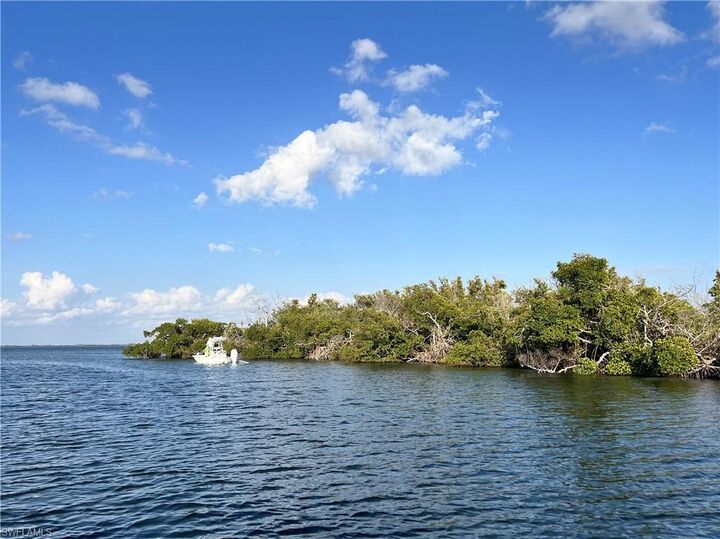 Property Photo:  Indian Field Key + Island 1  FL 33922 
