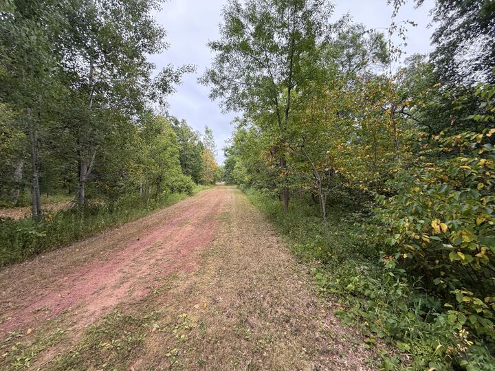 Property Photo: Lot 1 Whitetail MN 56441