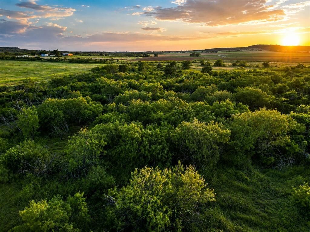 Property Photo:  1448 County Road 129  TX 76471 