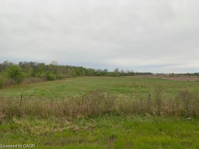 Pt Lt 24 Con 9 Walpole Road — photo 1
