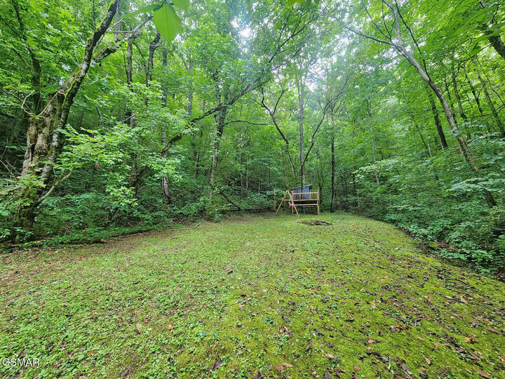 Property Photo: 890 Indian Gap Road TN 37876