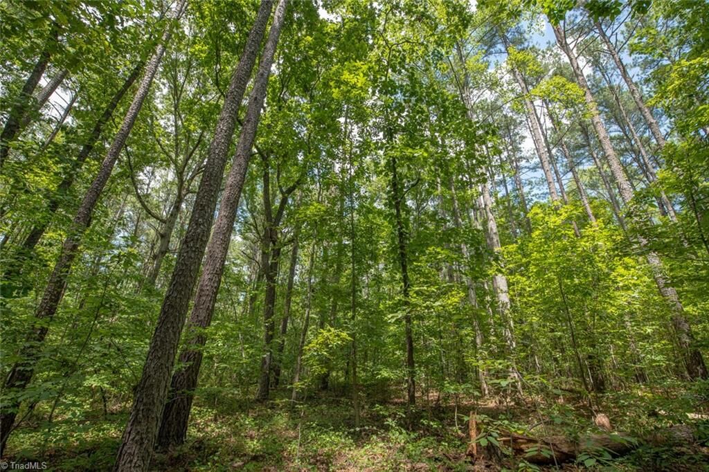 Property Photo: 8942 Spearman Road NC 27320
