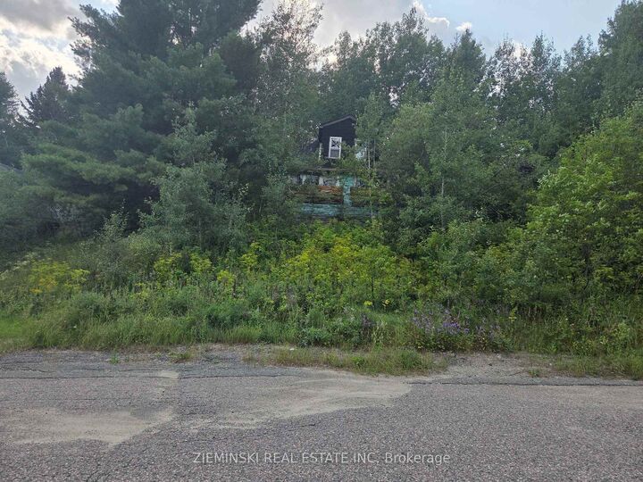 Property Photo:  296 Hayes Street  ON P0K 1T0 