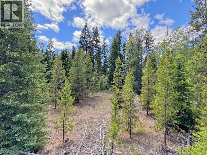 Property Photo:  Lot 4 Princeton Summerland Road  BC V0X 1W0 