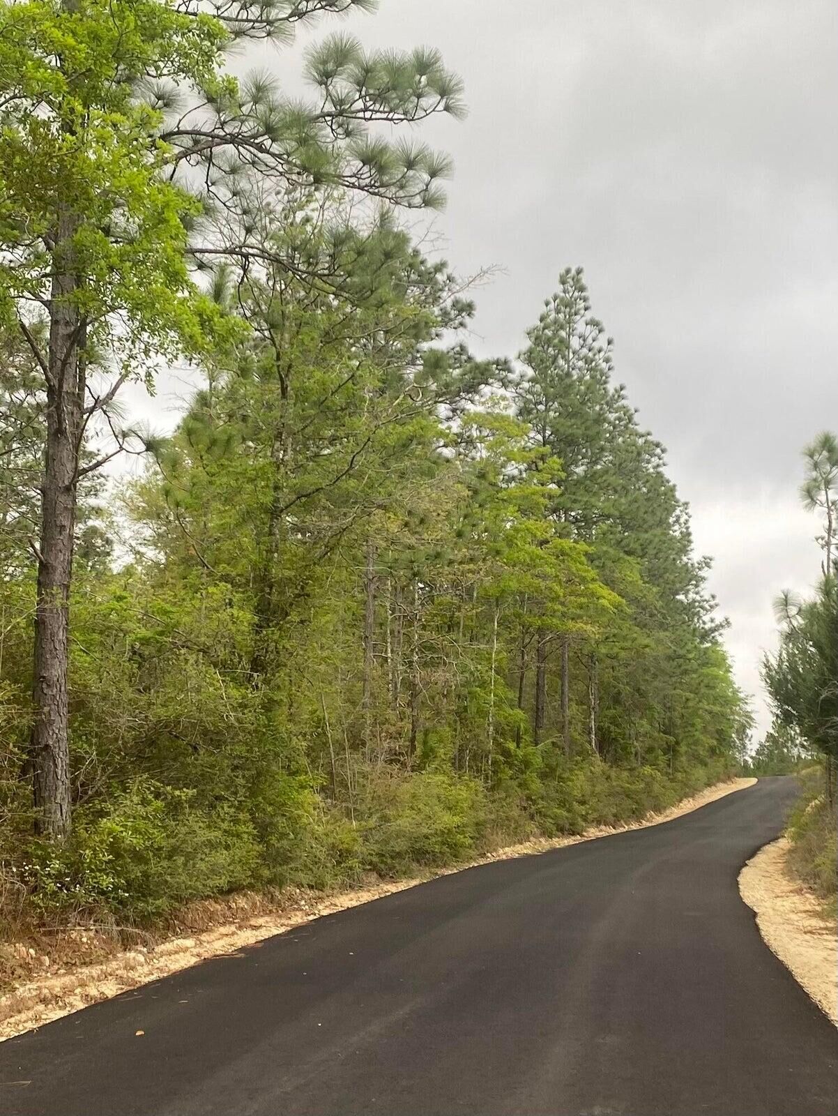 Property Photo:  X Sherman Kennedy Road  FL 32531 