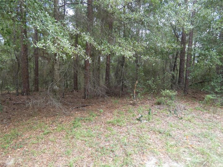 Property Photo:  10049 N Biscayne Drive  FL 34434 