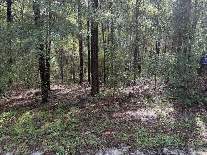 Property Photo: 10049 N Biscayne Drive FL 34434