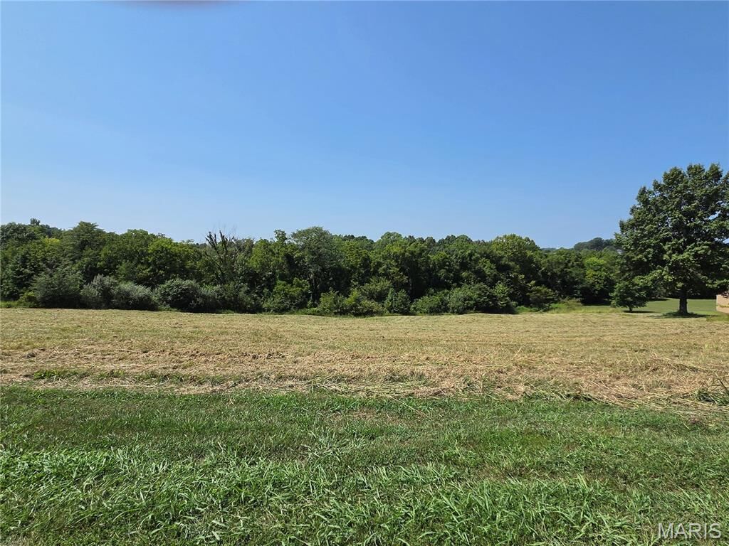Property Photo:  0 Ridge View  MO 63755 