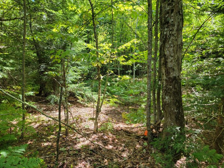 Property Photo: B-2backlot Pioneer Path ME 04605