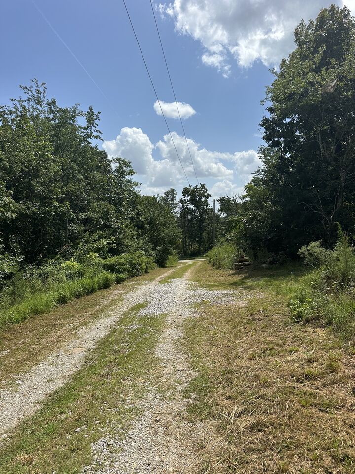 Property Photo:  258 Jack Plank Rd  TN 37381 