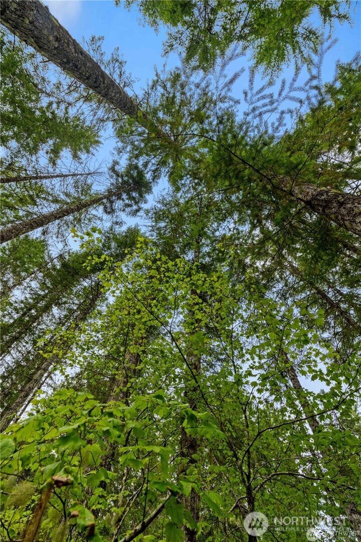 Property Photo: 1291 N Potlatch Drive WA 98548