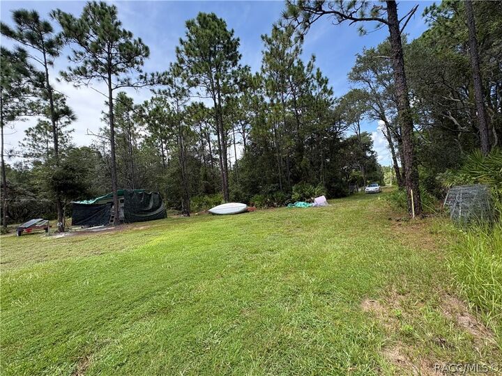 Property Photo:  394 N Florene Point  FL 34429 
