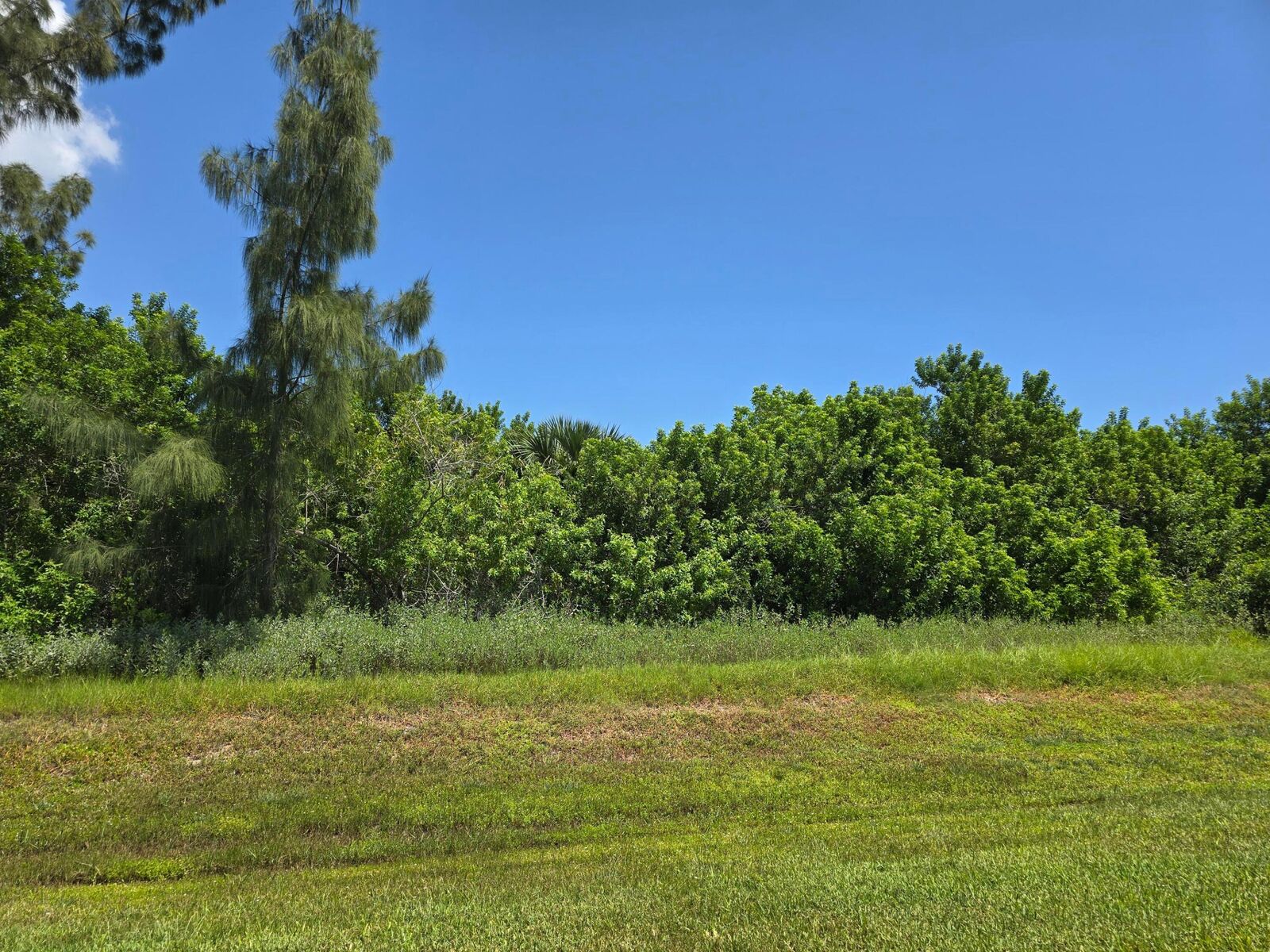 Property Photo: 0 River Prado FL 34946
