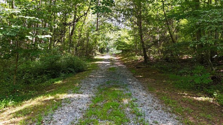 Property Photo:  3940 Bear Creek Rd  VA 24588 