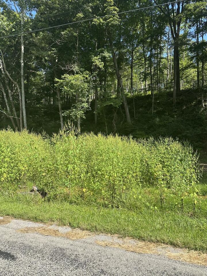 Property Photo:  0 Pleasant Hill Road  OH 45690 