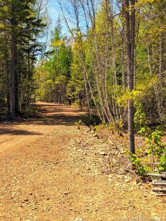 Property Photo: Lot 23-1 Rte 495 NB E4W 2N1