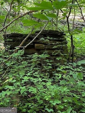 Property Photo: 0 Seven Springs GA 30143