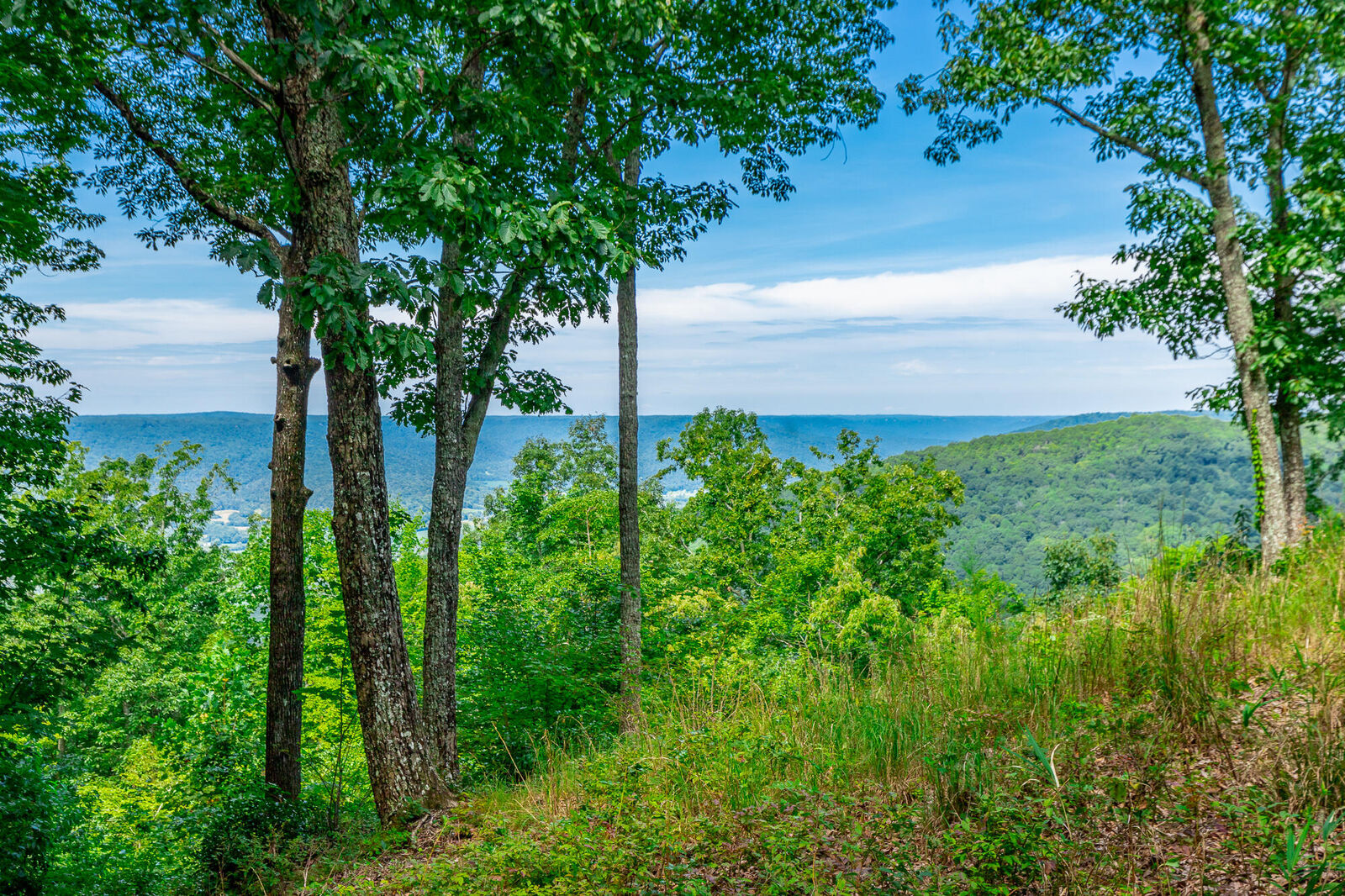 Property Photo:  0 Whiskey Way  TN 37347 