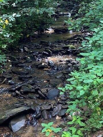 Property Photo: 00 Seven Springs Road GA 30175