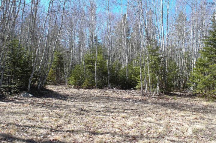 Property Photo: Lot Telegraph Road NS B0P 1P0