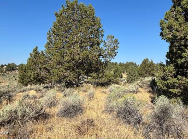 Property Photo: Josephine Street Lot 39 OR 97639