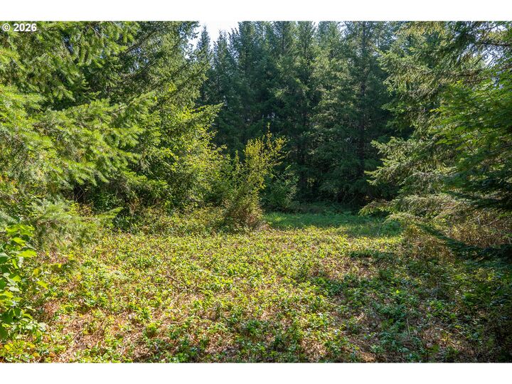 Property Photo: Hawk Meadows Rd 2 WA 98610