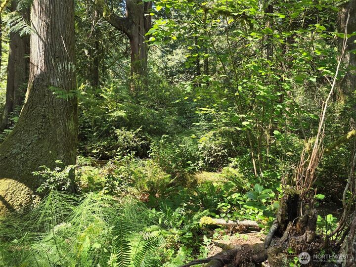 Property Photo:  100 E Liberty Road  WA 98584 