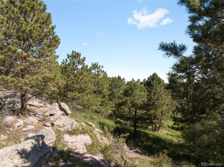 Property Photo:  18673 N Elbeer Road  CO 80106 