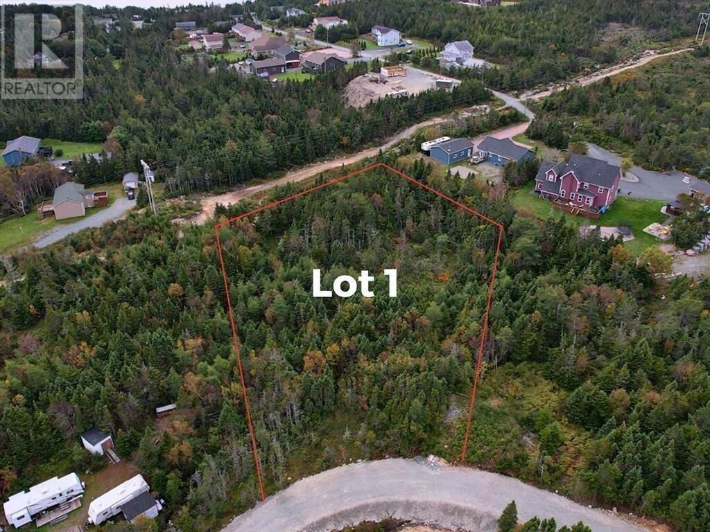 Property Photo:  Lot 1 Beaver Pond Road  NL A0A 1P0 