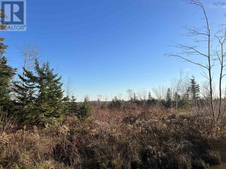 Property Photo:  Lot Small Gains Road  NS B0W 1B0 