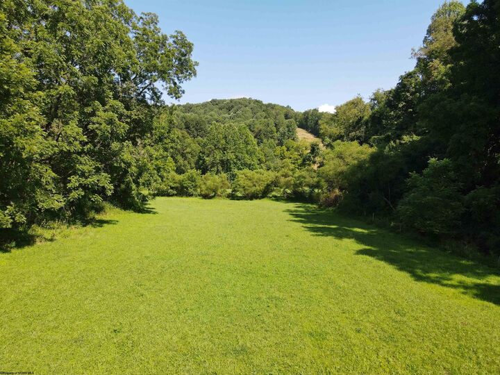 Property Photo: Tbd Hog Camp Road WV 26378