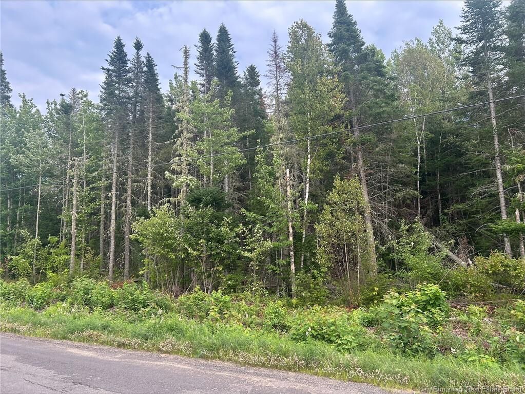 Property Photo:  14-4 Bronson Road  NB E4A 2K9 