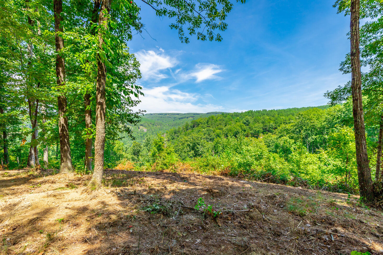 Property Photo:  0 Birds Eye Way  TN 37340 